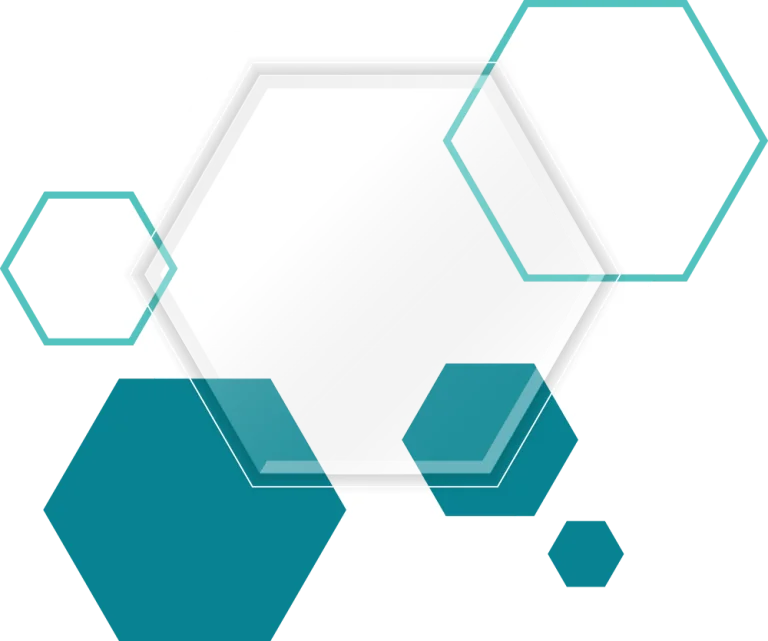 Primary Hexagon